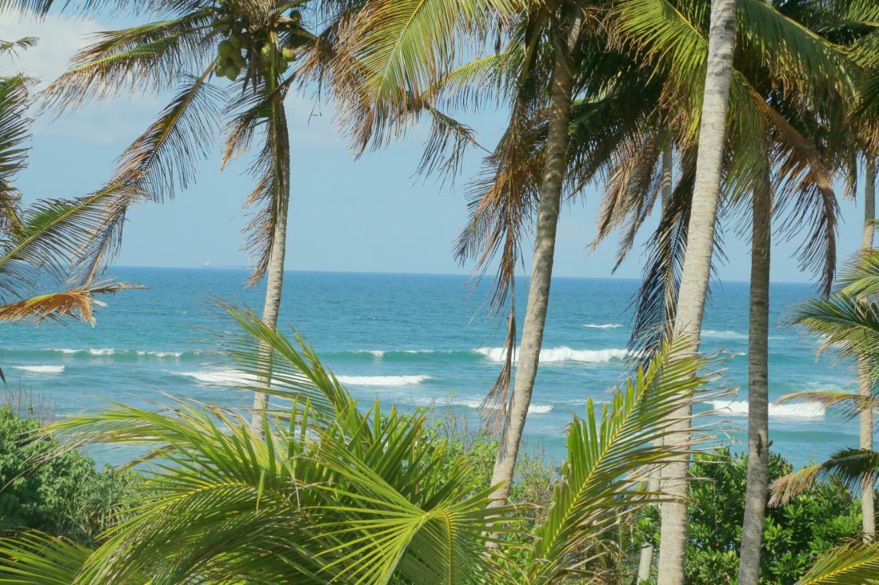 Coconut Hill Homestay Mirissa Exterior foto